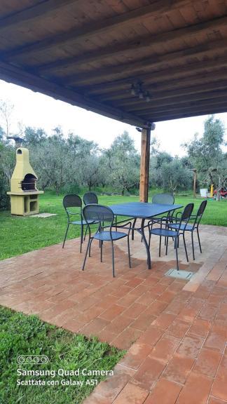 Apartament David Bilocale Wi-Fi, Posto Auto, Giardino, Aria Condizionata Donoratico Zewnętrze zdjęcie